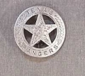 Deluxe Texas Ranger Badge.