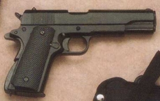 .45 Government Automatic Pistol